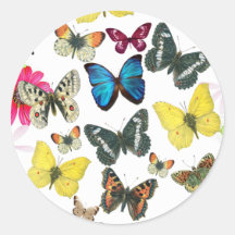 Vintage Blue Red Yellow Colourful Butterflies Stickers