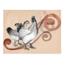 Vintage Cochin Chickens Post Card