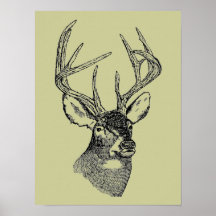 Vintage deer art graphic posters