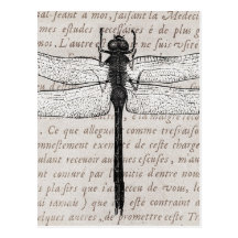 Vintage Dragonfly and Antique Text Collage Postcard