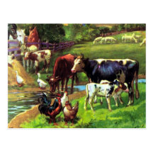 Vintage Farm Postcard