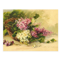 Vintage Flowers Postcard postcards