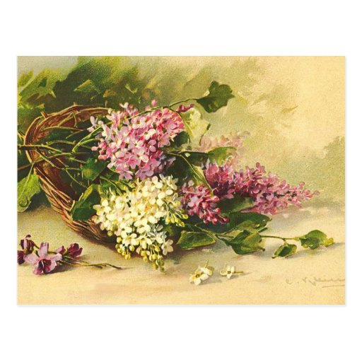 Vintage Flowers Postcard