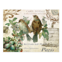 Vintage French Birds postcard
