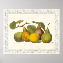 Vintage French Pears Country Kitchen Decor Posters