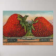 Vintage Giant Strawberries Print
