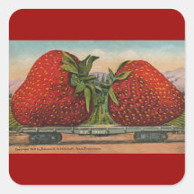 Vintage Giant Strawberries Stickers