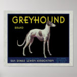 Vintage Greyhound Lemon Label Circa 1920 Posters