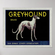 Vintage Greyhound Lemon Label Circa 1920 Posters