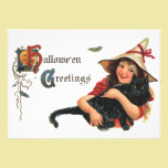 Vintage Halloween Witch Holding a Black Cat invitations