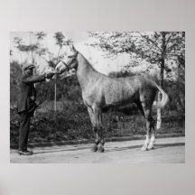 Vintage Horse Photography Posters