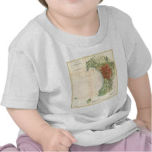 Vintage Map of Burlington Vermont (1872) Tees