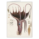 Vintage Marine Life Animal, Umbrella Squid Greeting Cards