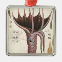 Vintage Marine Life Animal, Umbrella Squid Christmas Ornament