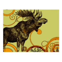 Vintage Moose Post Card