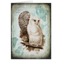Vintage Owl Couple Greeting Card