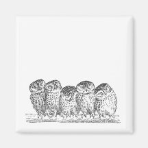 Vintage Owls Magnet
