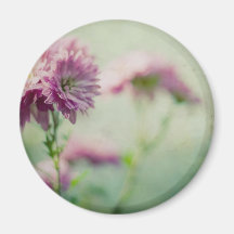 Vintage Pastels Magnets