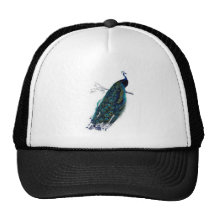 Vintage Peacock.jpg Mesh Hat