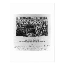 Vintage Photography Tobacco Postcard