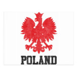 Vintage Poland Postcard