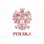 Vintage Polska Postcard