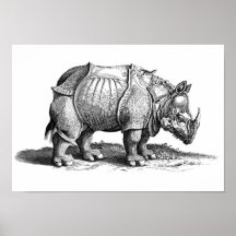 Vintage Rhino - Dürer's Rhinoceros Poster