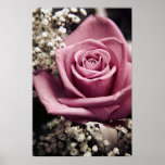 Vintage Rose print