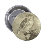 Vintage Screech Owl Pins