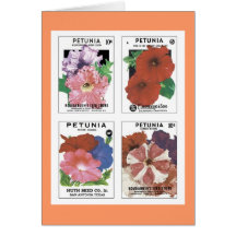Vintage Seed Packets Greeting Card