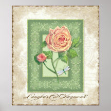 Vintage Style Floral - Pink English Rose w Brocade Poster