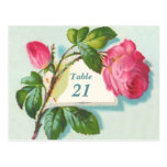 Vintage Table Number Postcard
