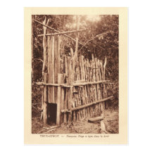 Vintage Tiger Trap Saigon Postcard