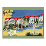 Vintage Travel, Greetings From Louisiana Post Card