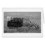 Vintage Truck Cards