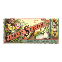 Vintage Vick's Choice Seeds Packet Label Art Rack Cards