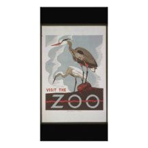 Vintage Visit the Zoo Customized Photo Card