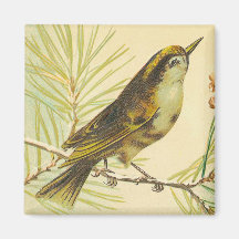 Vintage Wren Magnet