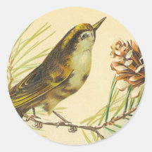 Vintage Wren Stickers