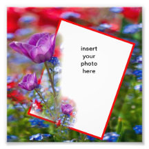 violet flower frame photo art
