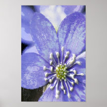 Violet Light by Gregory Gallo Posters
