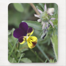 Violet Mouse Pads