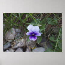 Violet Posters