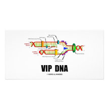 VIP DNA (DNA Replication Humour) Photo Card Template