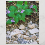 Virginia Bluebells Flyer