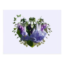 Virginia Bluebells Wildflowers Post Cards