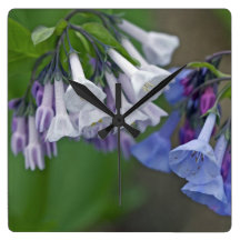Virginia Bluebells Wildflowers Square Wallclocks