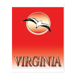 Virginia Seagull Sunset Airbrush Look Post Card