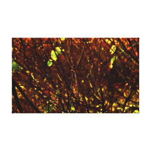 vision from bush canvas print