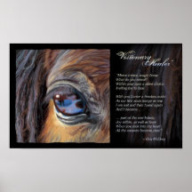 Visionary Healer inspiration, © Kim McElroy Poster